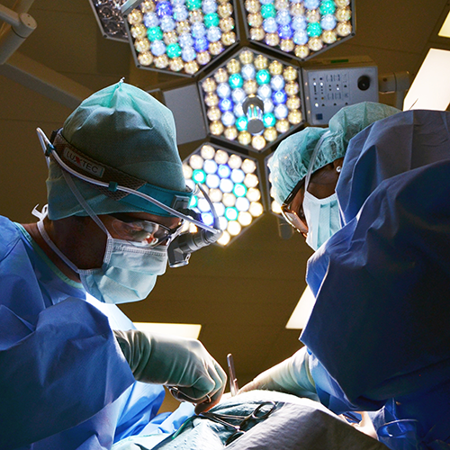 Surgeons Chiropractors & Neurosurgeons: Collaborating Partners in Maintaining Spine Health