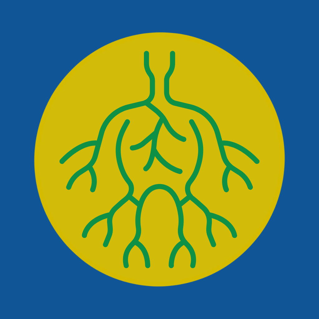 Integrated Healthcare